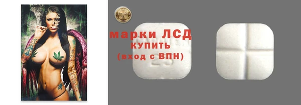 стафф Новодвинск
