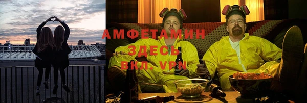 стафф Новодвинск