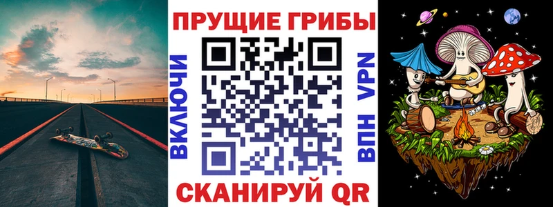 продажа наркотиков  Шилка  гидра   Псилоцибиновые грибы мицелий 